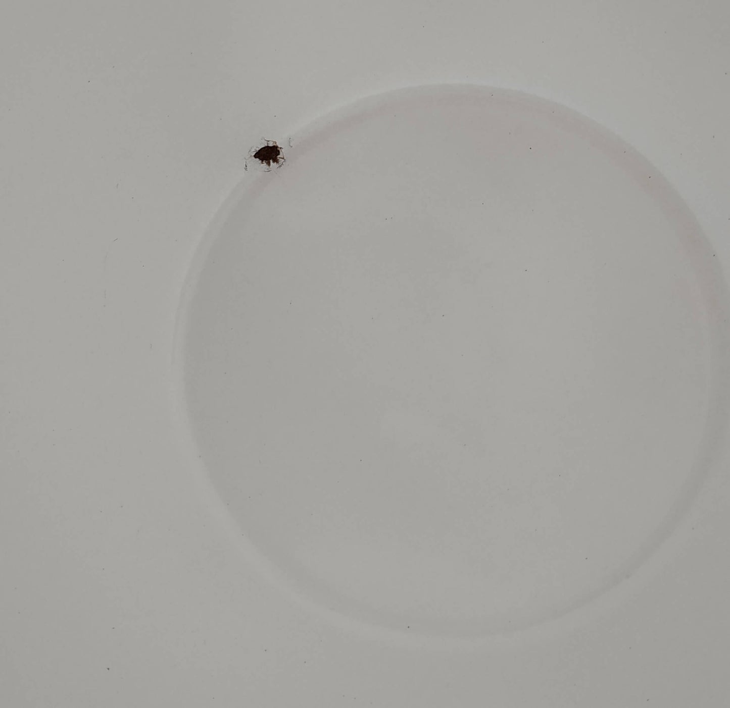 Vintage Finel Arabia Mushroom Bowl from the 1960s - Designed by Kaj Franck & Esteri Tomula